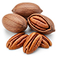 Noz pecan